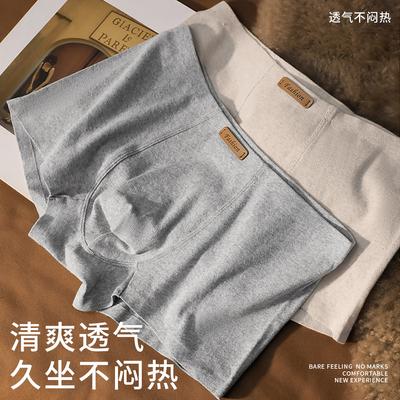 [95.6% Cotton with Mulberry Silk Crotch] 2 Pairs of Men's Underwear, Men's Square Underwear, Men's Minimalist Style