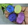 283Cts. Dyed Solar Durzy Agate 4Pcs Crystal Loose Gemstone Lot 29X35-26X47MM A-224