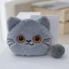 Adorable Cat Coin Purse Plush Coin Pouch Cute Headphone Bag For Kids And Students