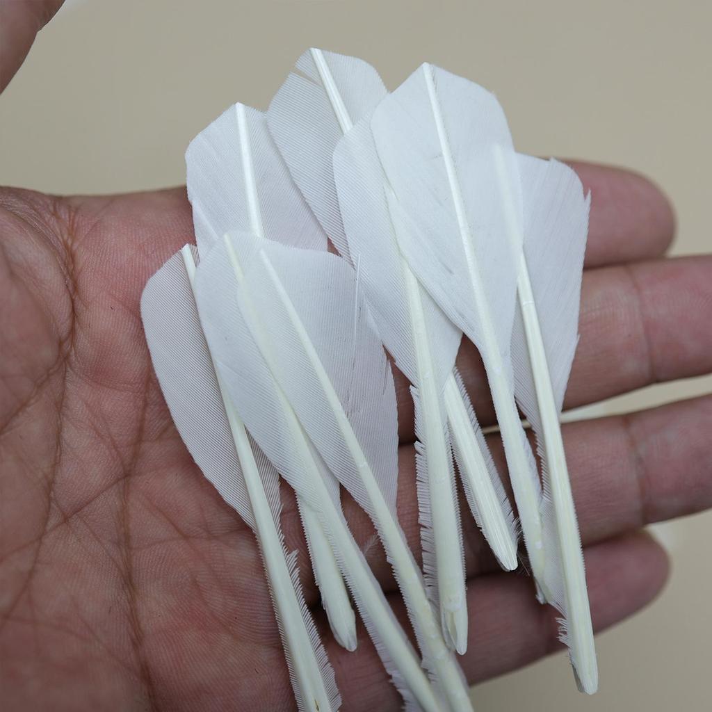 White Feathers for DIY Dream Catchers & Craft Decorations