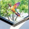 Colorful Hummingbird Sun Catcher Acrylic Sun Catcher Acrylic Rainbow Bird Wind Chimes Crafts Home Garden Pendant Decoration