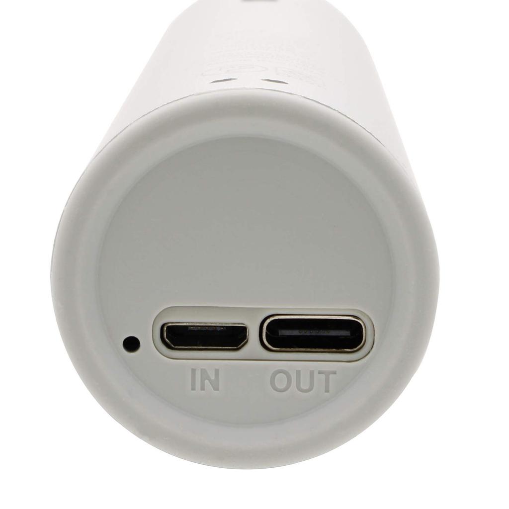 Fujimoto Dengyo Mist Fan Aroma Compatible Portable Fan with Mist Function Silver Small OFH-03SV