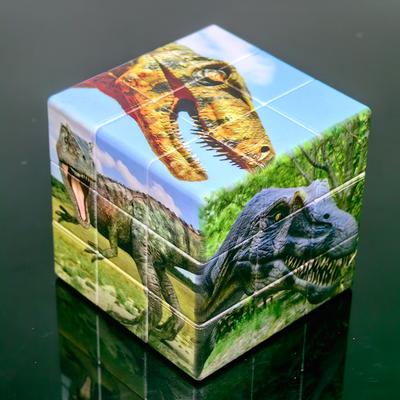 3x3 UV Printing Dinosaurs Culture's Maglev 3x3x3 Cube Levitation Innovation For Speed Cubo Toys For Kids Enthusiasts