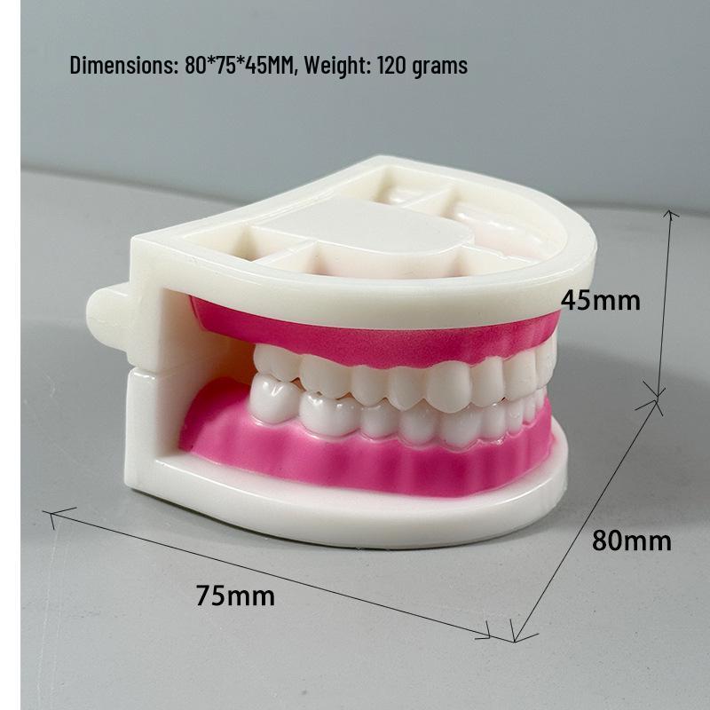 Прозора Знімна Повна Модель Щелепи з М'якими Яснами та Зубами для Підготовки до Імплантації