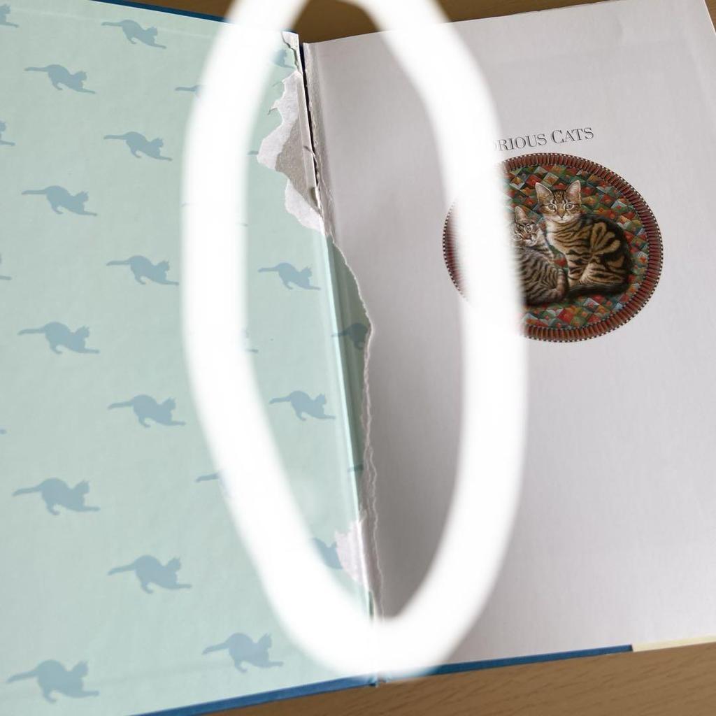 [USED] GLORIOUS CATS (damaged) English book, antique, used book