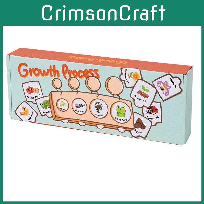 Montessori Cycle Growth Puzzle Wooden Educational Toy For Preschool Learning