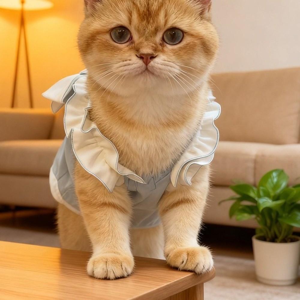 Adjustable Cat Sterilization Suit Anti Licking Lace Bow Pet Belly Cover Comfortable Soft Dog Recovery Suit Daily Wear