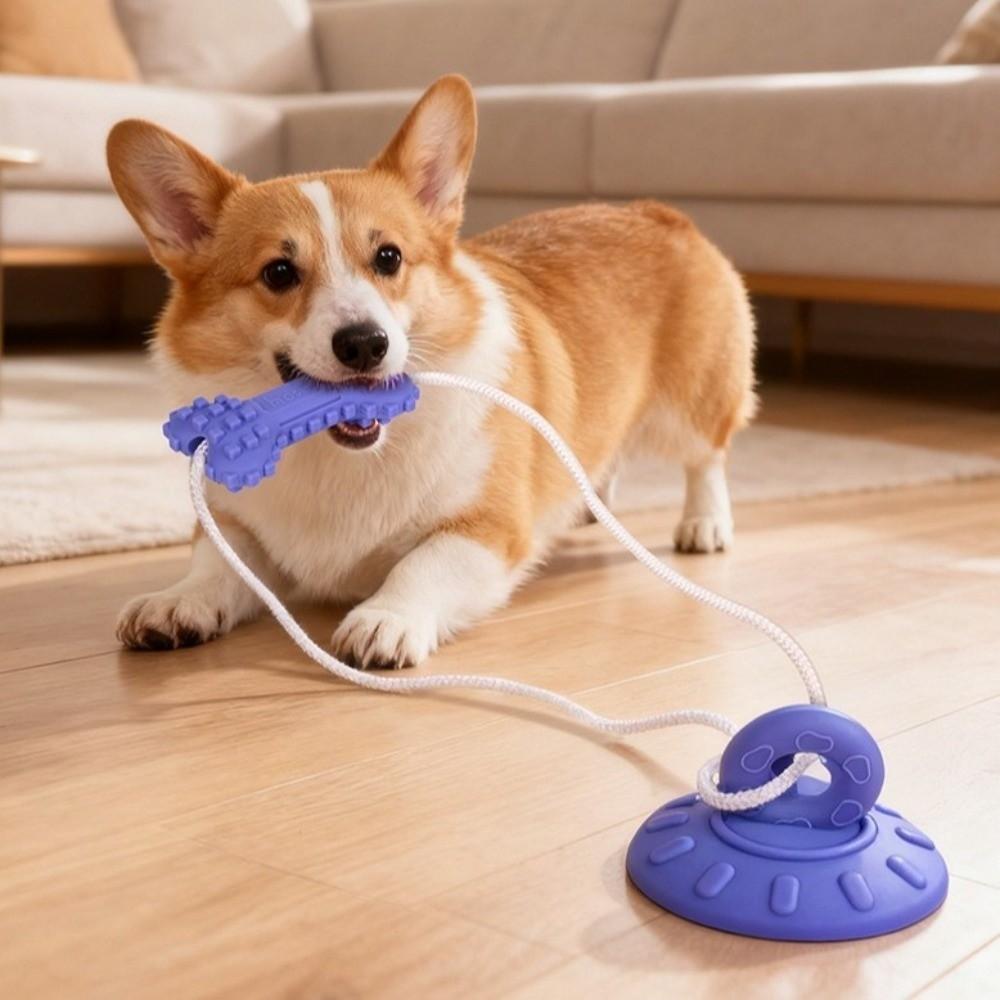 Bite-Resistant Dog Suction Cup Toys Wear-Resistant Pet Interactive Toy  Interactive