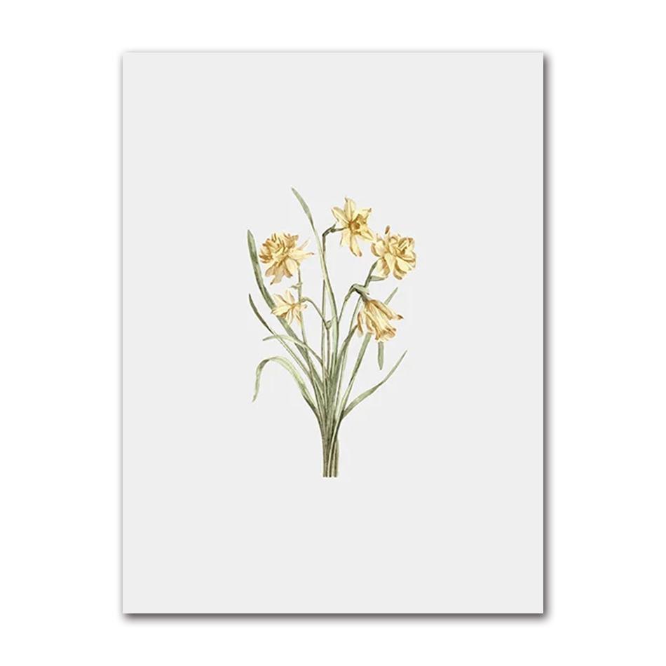 Vintage Wildpflanzen Poster Botanische Blumendrucke Leinwandmalerei Moderne Wandkunst Bilder für Wohnzimmer Dekoration