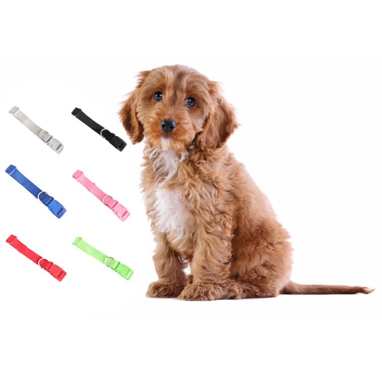Durable Pink Dog Collar with Adjustable Size