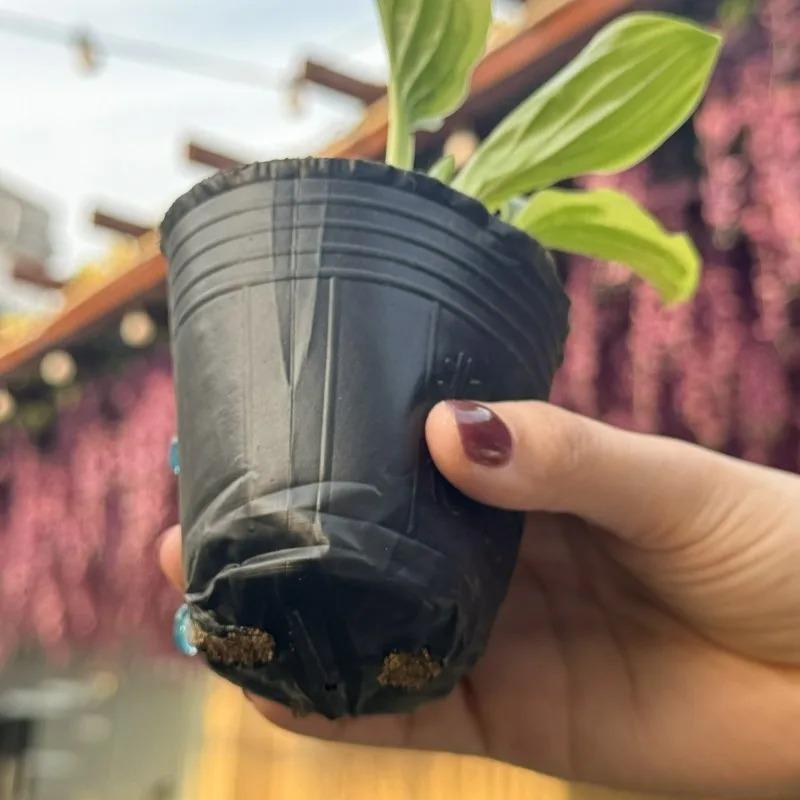 Thickened Plastic Nursery Pots Seed Starter Pot Vegetable Seedlings Cuttings Transplanting Seedling Containers Garden Supplies