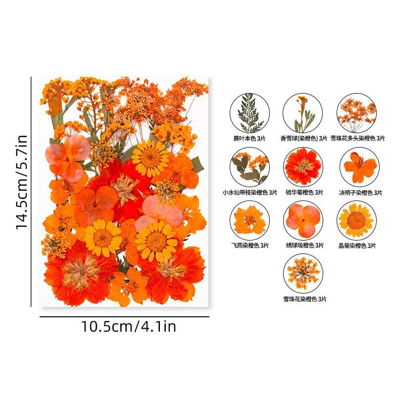 Halloween Theme Pressed Flower Kit for Resin Art Natural Real Pressed Orange Flower Leaves for DIY Epoxy Jewelry Bookmark