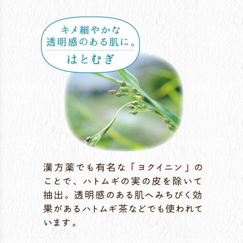 Clear Turn KOSE Beautiful Skin Artisan Hatomugi Mask Large Capacity Face Pack 30 Pieces (x 1)