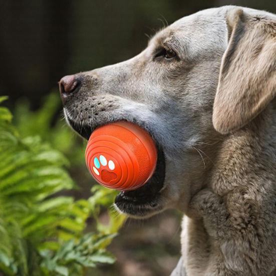 Interactive Dog Ball Smart Toy with 4 Modes Small Medium Dogs Automatic Rolling Bouncing Waterproof Rechargeable Dog Toy