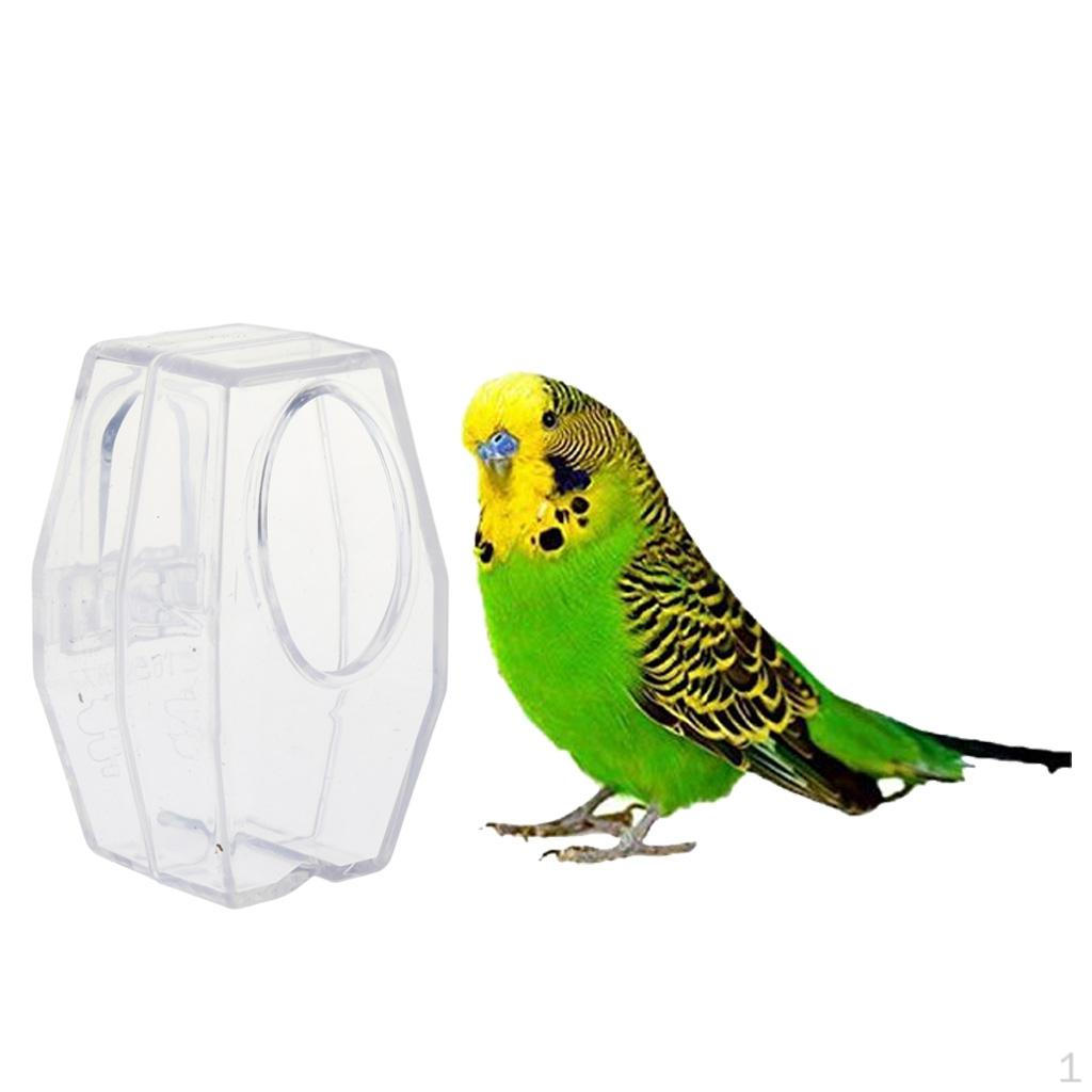 

Hanging easy to install & Acrylic Water Feeder 3