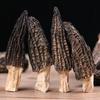 Yunnan Origin First Flush Dried Morel with Cut Stems - Edible Dried Morel
