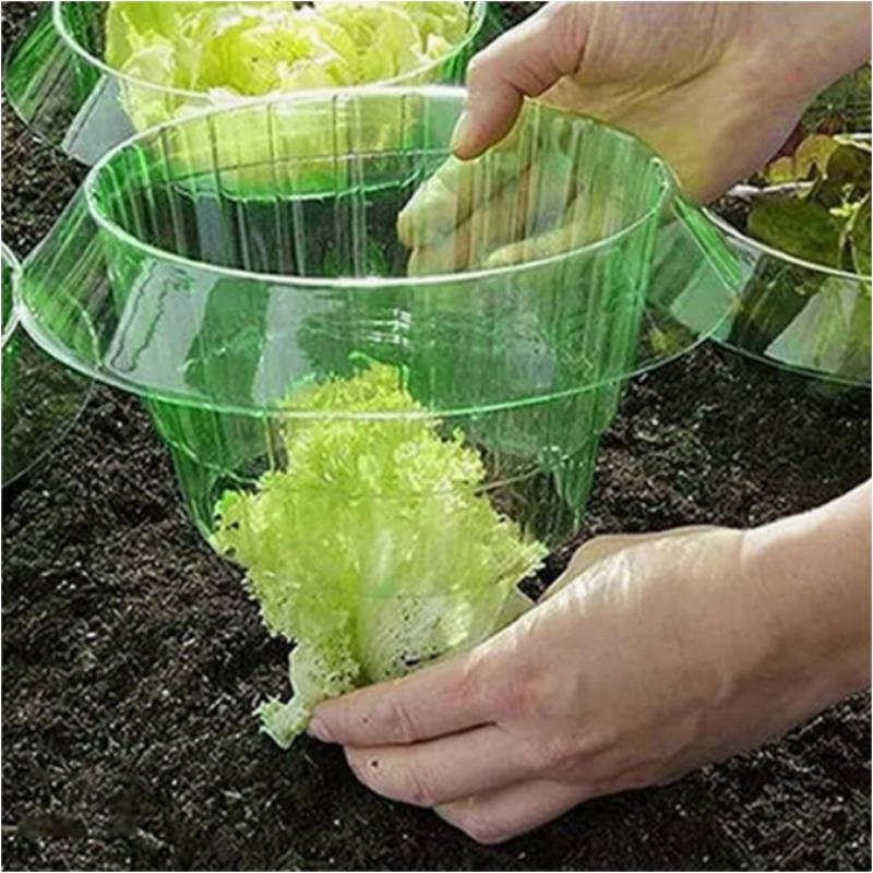 Vegetable Protection Cover Plant Shield With Pest Prevention For Garden Use