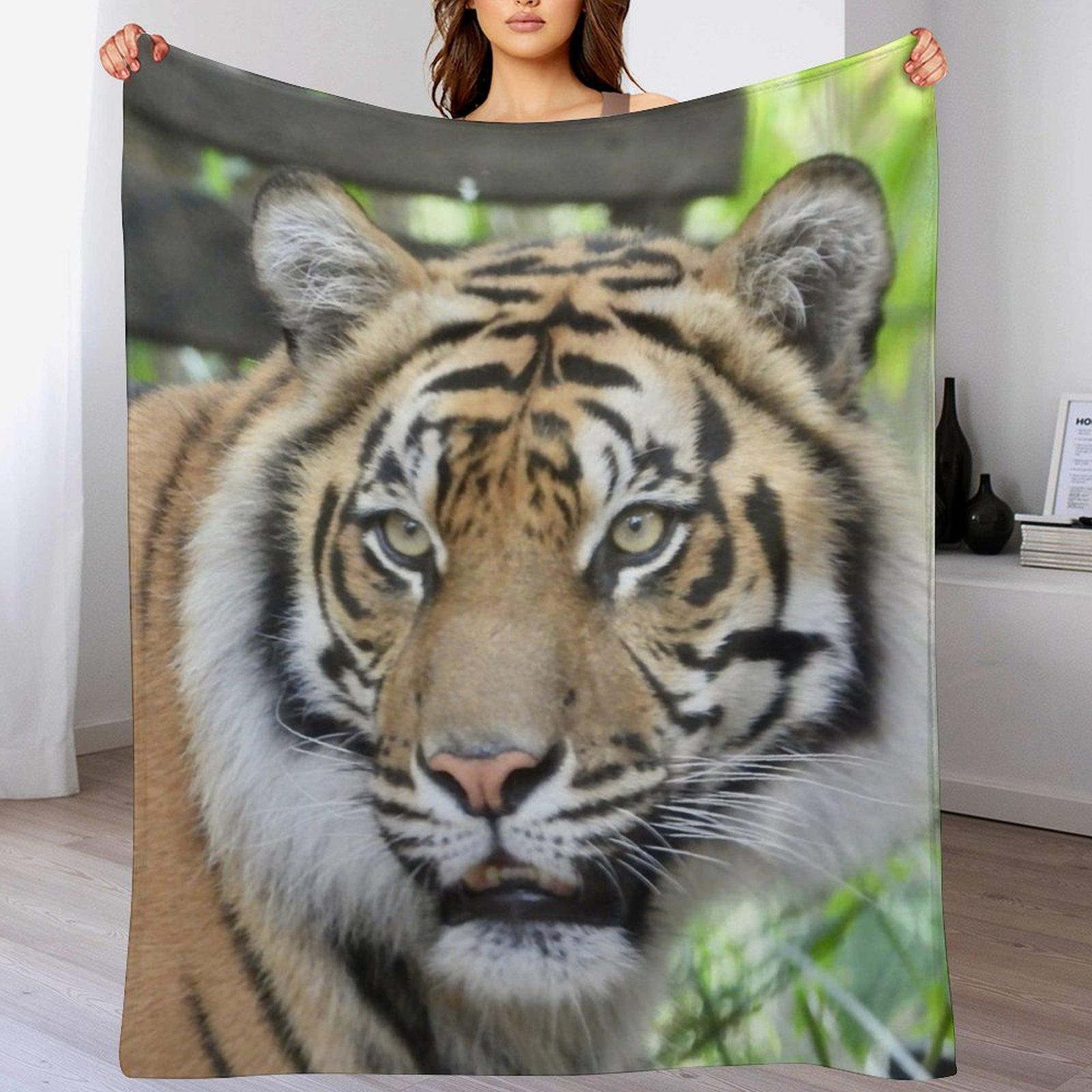 

Sumatran Tiger face at Zoo Throw Blanket Foldable Soft Warm Blanket for Outdoor Use 102x76cm(40x30in)
