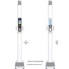 XINDINGHENG Smart Ultrasonic Body Fat Scale (CN Version)