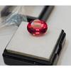 Oval Cut Padparadscha Sapphire 6+ Ct Stunning Certified Loose Gemstone