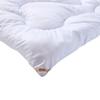Fuanna Yixiang Warm Core Quilt