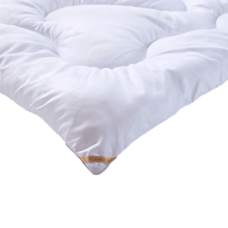 Fuanna Yixiang Warm Core Quilt