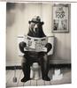 Funny Husky Shower Curtain Humor Husky Animal Sitting On Toilet Reading Newspaper Shower Curtains  Shower Curtain for Bathroom