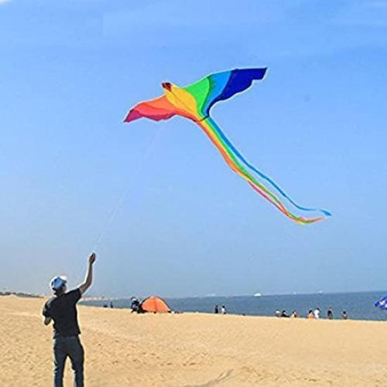 Phoenix Kite, a kite for adults and teenagers, perfect for beginners, easy to assemble and operate, includes a storage bag, ideal for outdoor leisure