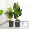 Nordic Style Self-Watering Faux Ceramic Plant Pot for Hydroponic Pothos
