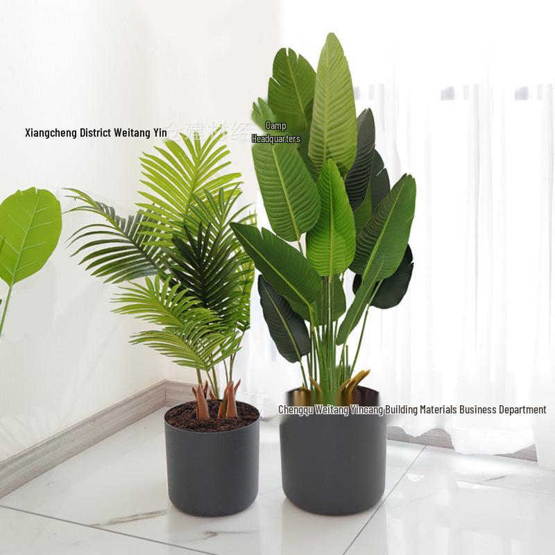 Nordic Style Self-Watering Faux Ceramic Plant Pot for Hydroponic Pothos