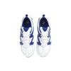 Nike Air Max Graviton AT4525-103