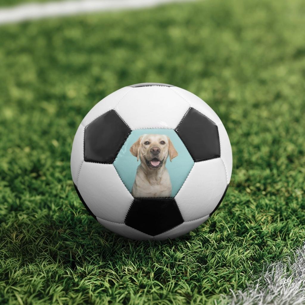 Personalized Custom Football Single-sided Custom Football PU Material Student Football