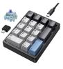 Levieny Mechanical Numeric Keypad, 17-Key Programmable & Macro Keyboard [WiredUSB Type-C Compatible] [QMKVIA Customization] [RGBHot SwapPBT]