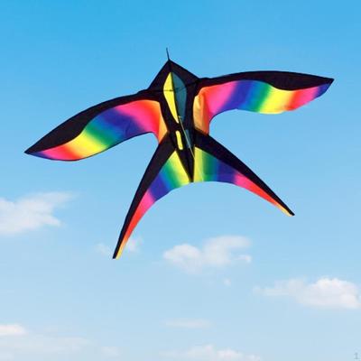 Drak Kite Kiting Outdoorové aktivity Kockovaný Akrobatický šport Jednolajnové ovládanie pre Dvor Turistika
