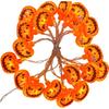 Halloween String Lights with LED Pumpkin and Lights for Outdoor Holiday Decoration