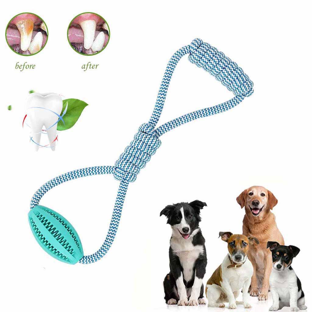 Pet Dog Puppy Chew Toy  Teething Molar Teeth Clean Training Play Tool