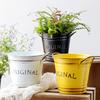 Vintage Double-Handled Iron Basin - Pansy Flower Pot with Retro Distressed Lettering for Garden Decoration