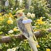 Adjustable Bird Flight Suit Escape Proof Bird Vest Suit Safety Bird Harness Outdoor Travel