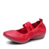2023 Cross-Border Soft Sole Square Dance Ballet Practice Shoes, Flat Heel, Adult