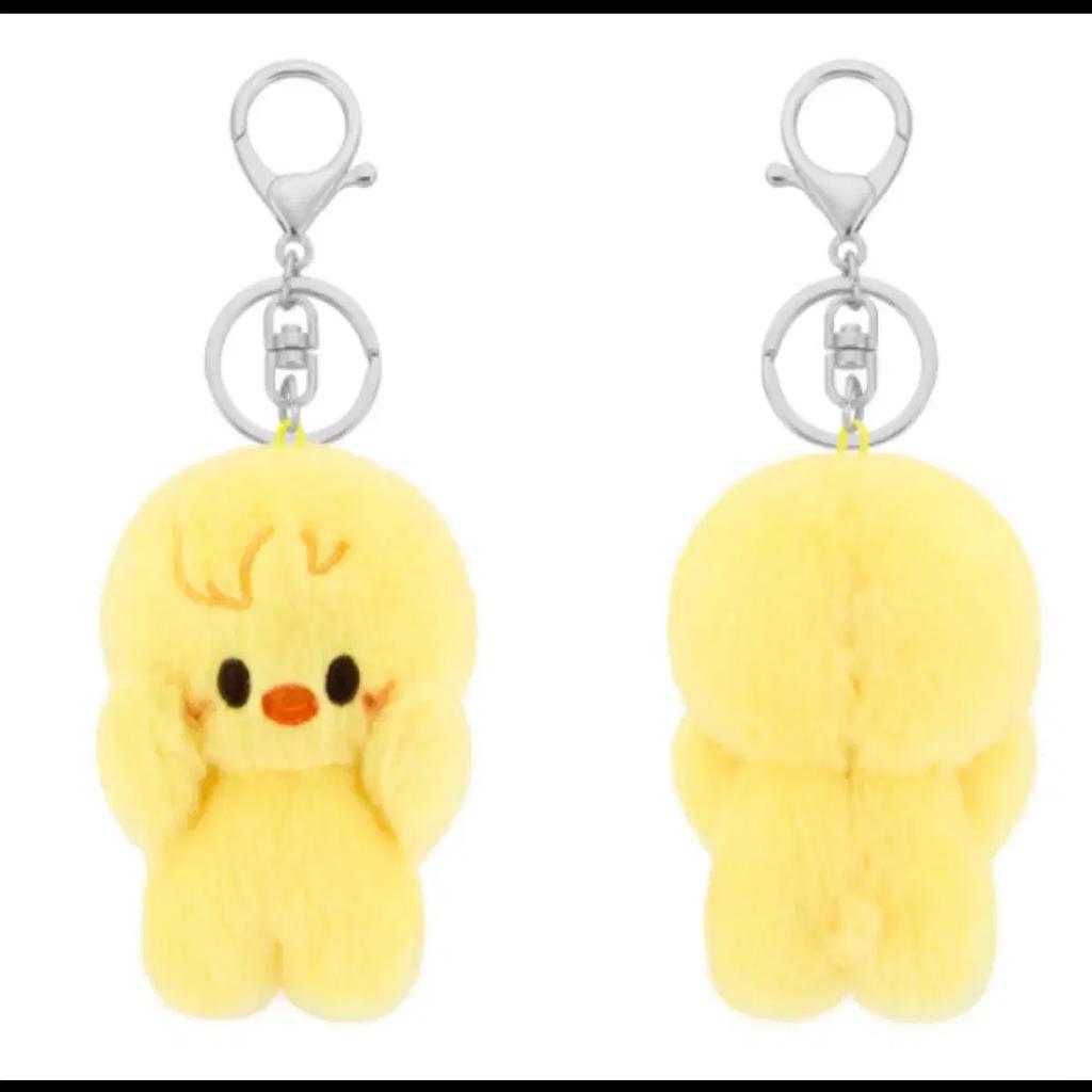 STRAY KIDS Skige Felix Poire Picket Cover & Keyring (Unopened)