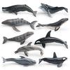 Ensemble de modèles en PVC d'animaux marins pour enfants avec des figures de cétacés réalistes pour le jeu éducatif