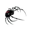 Autocolante tatuaje temporare 3D păianjen impermeabile artă corporală pentru gât braț spate autocolante tatuaje păianjen realiste pentru petreceri de Halloween