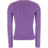 Polo Ralph Lauren Solid Color Crew Neck Long Sleeve Sweater Women sweater Lavender 211891640-028