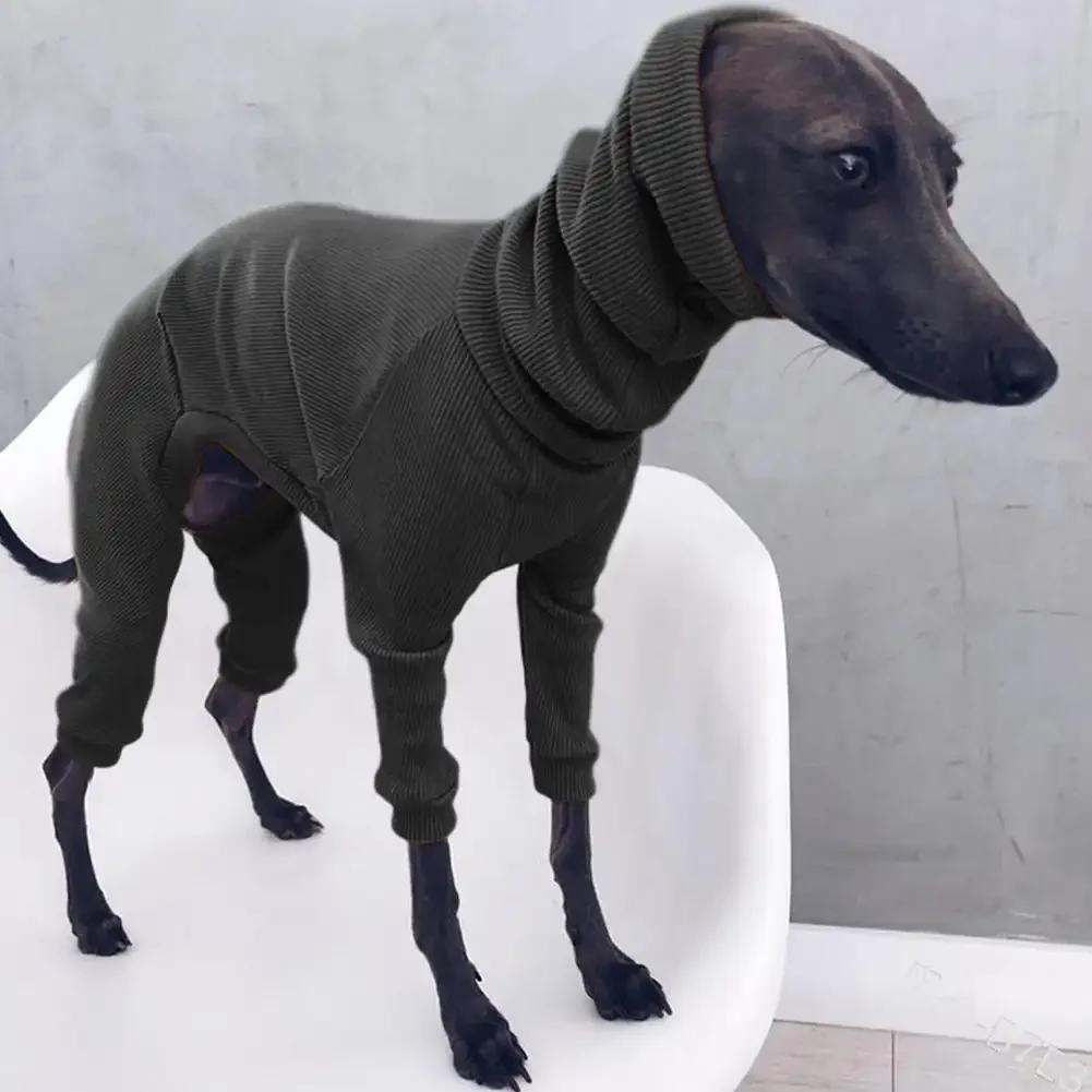 Moda a quattro zampe costola vestiti per cani dolcevita maglione per animali domestici per Whippet levriero italiano pullover invernale tuta per cani di grossa taglia