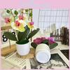 Butterfly Orchid Imitation Flower Set For Home Interior And Outdoor Garden Decoration