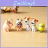 Conjunto de Figuras de Ação Premium Feito The Secret Life Of Pets Max Bola de Neve Duque Chloe Gidget