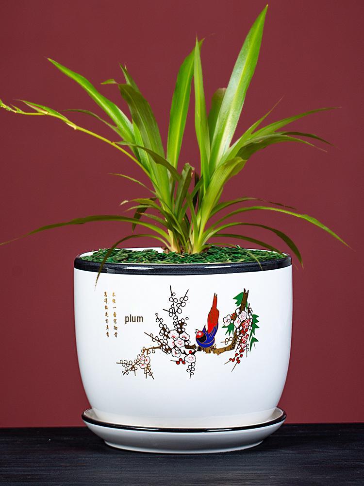 Large Ceramic Flower Pot with Saucer for Indoor or Balcony Plants