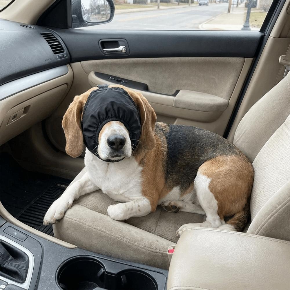 Breathable Cat Shade Hood Adjustable Cat Calming Eye Mask Dog Motion Sickness Hood  Car Travel
