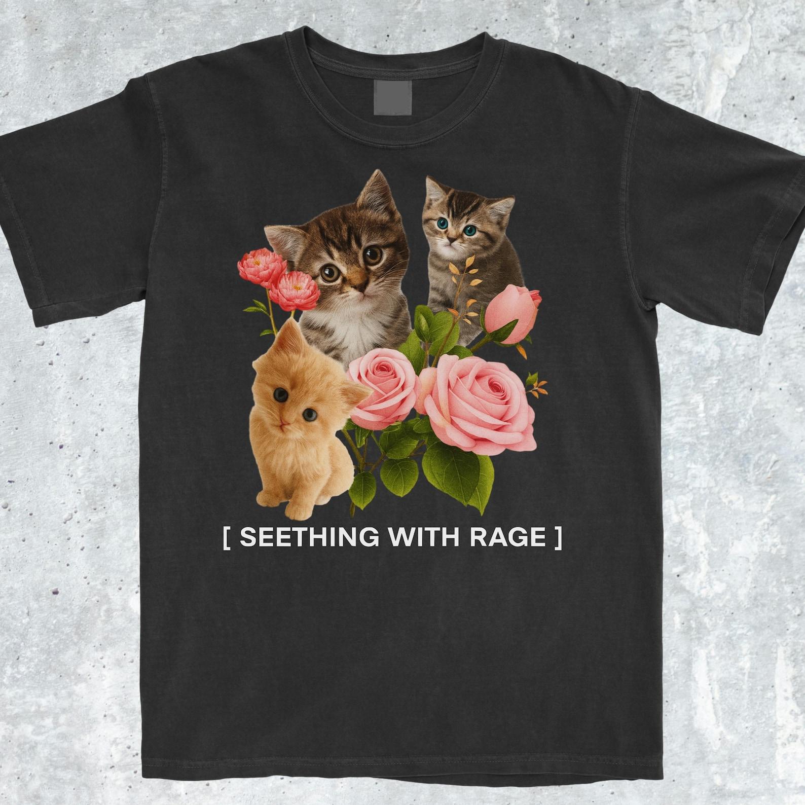 Funny Seething WIth Rage Cat Meme Shirt, Funny Meme Shirt, Popular Meme Shirt, Viral Meme Shirt, Offensive Shirt, Cursed Cat Shirt, Y2k Tee XL