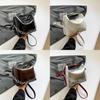 Stylish Minimalist 2024 Summer New Small Fashionable Shoulder Bag For Women In Black White Brown Silver